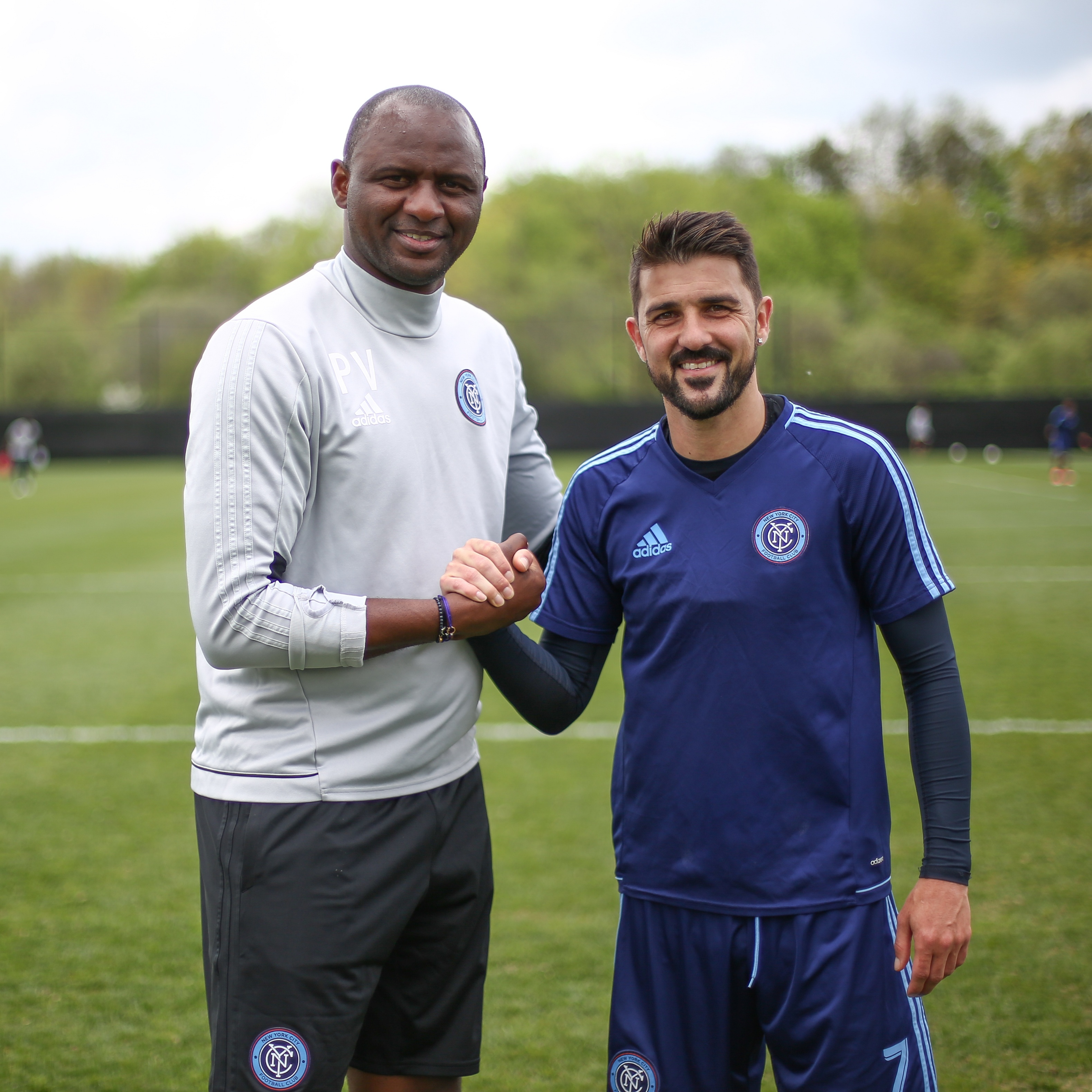 david villa