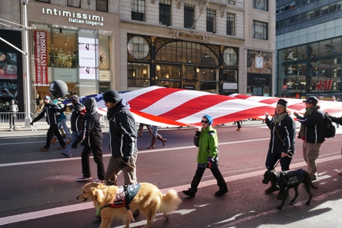 Veterans day