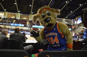 DubKnicks