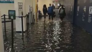 Flooding NYC