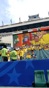DIALLO’S LATE STRIKE LIFTS IVORY COAST PAST ECUADOR IN WORLD CUP
